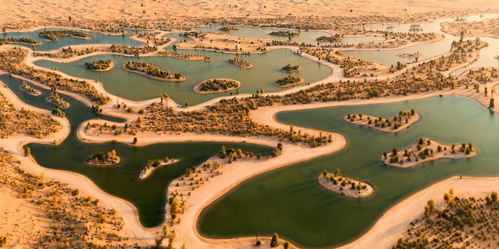 Al Qudra Lake