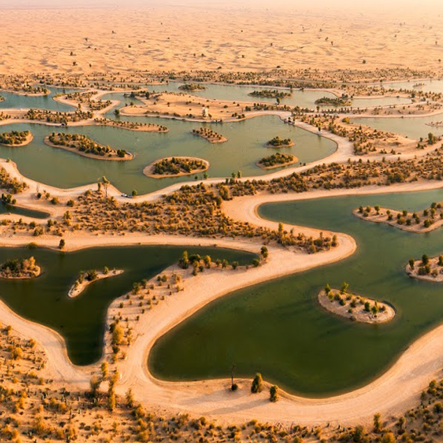 Al Qudra Lake